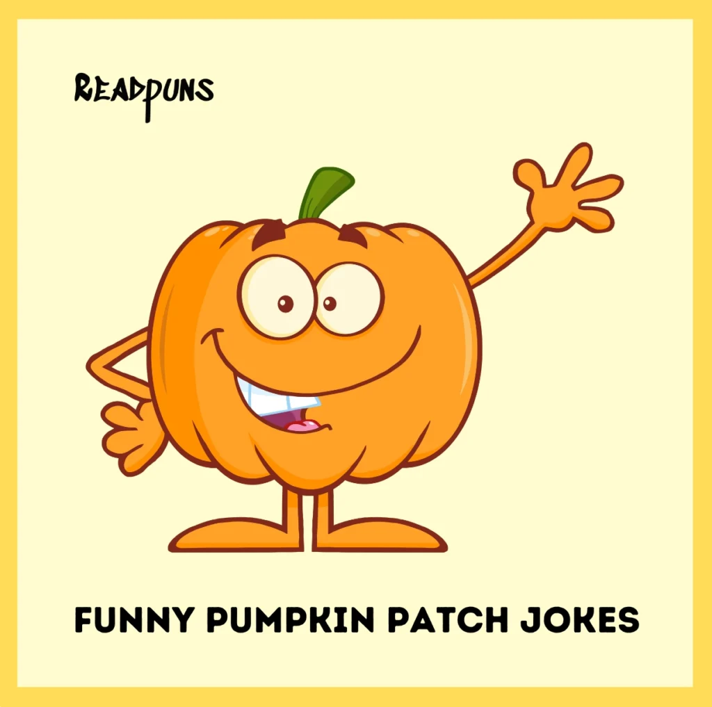 Funny Pumpkin Patch Jokes