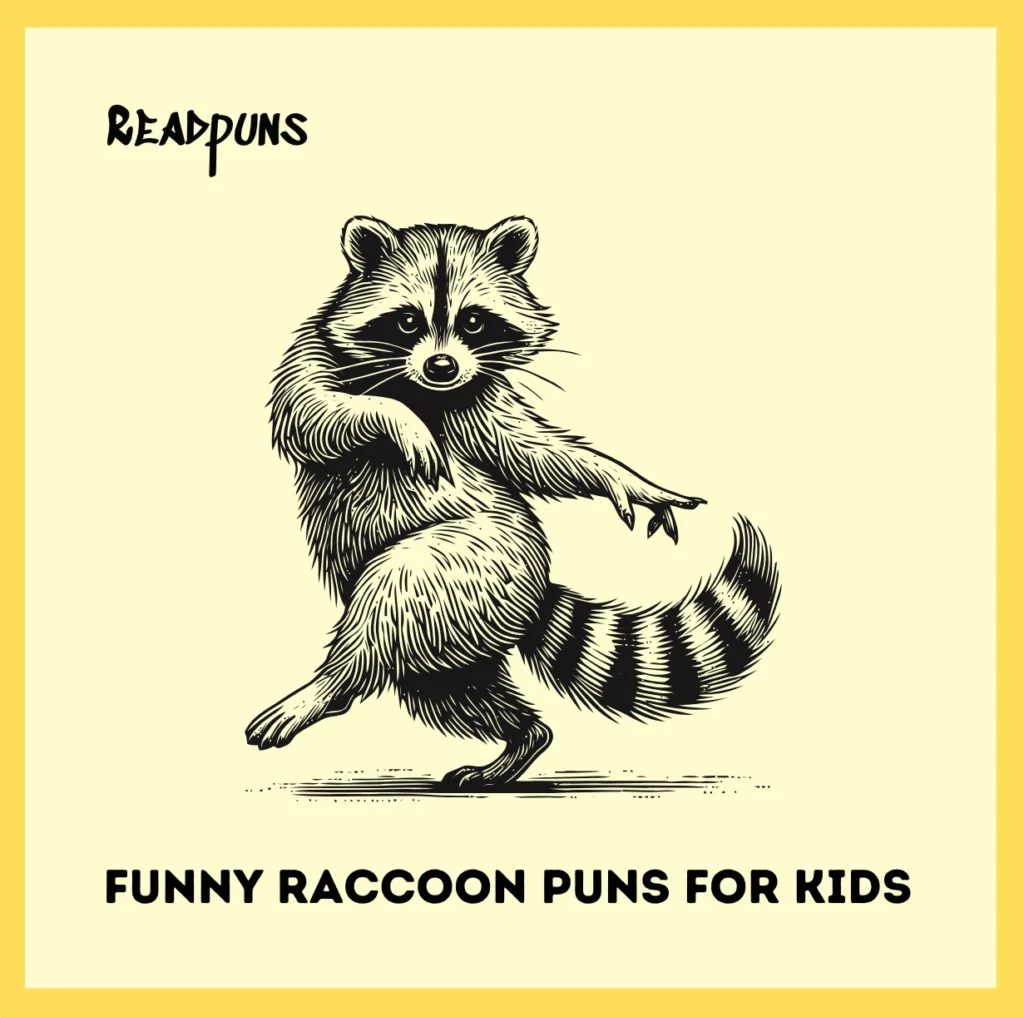 Funny Raccoon Puns for Kids