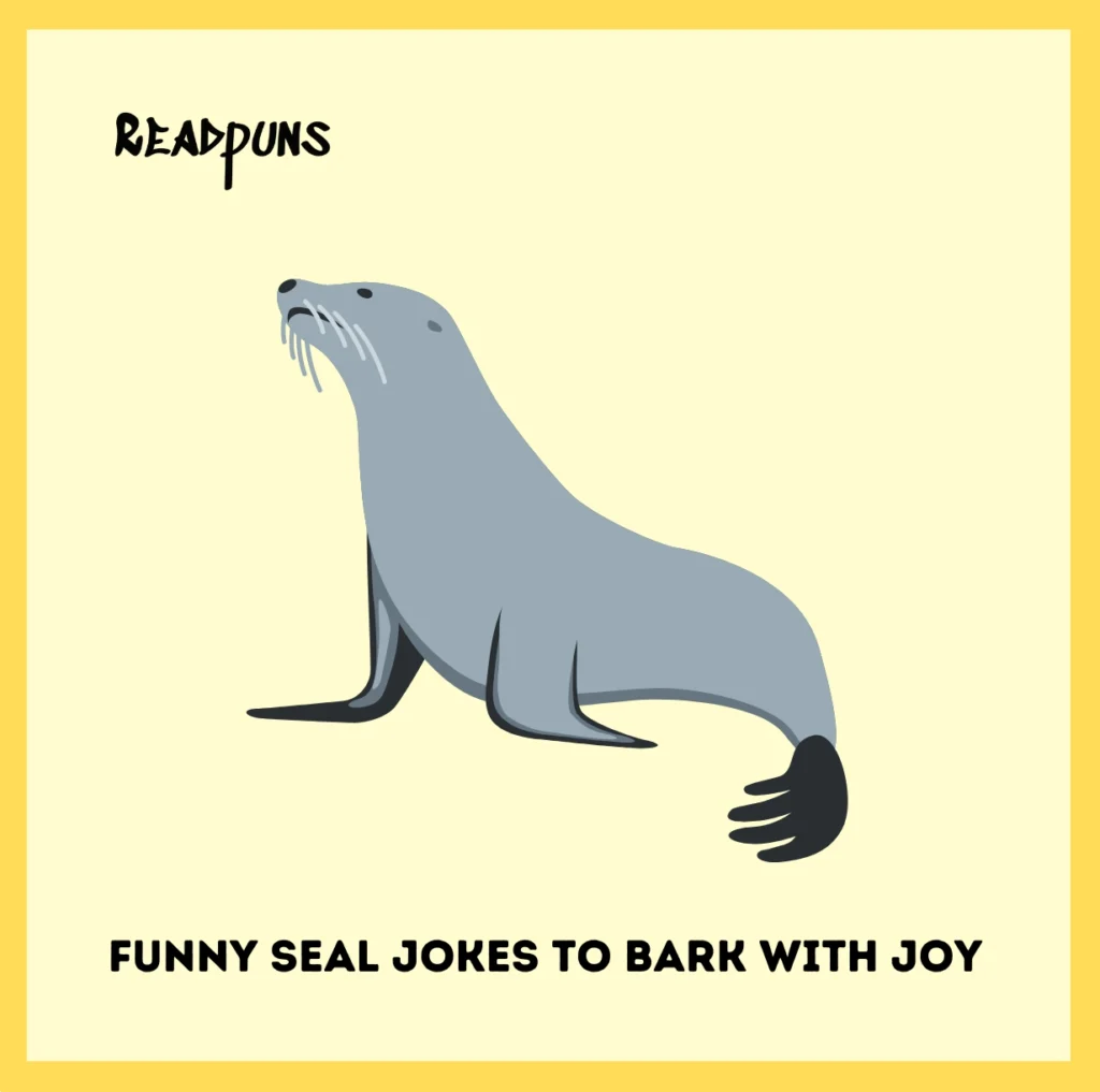 Funny Seal Jokes to Bark With Joy