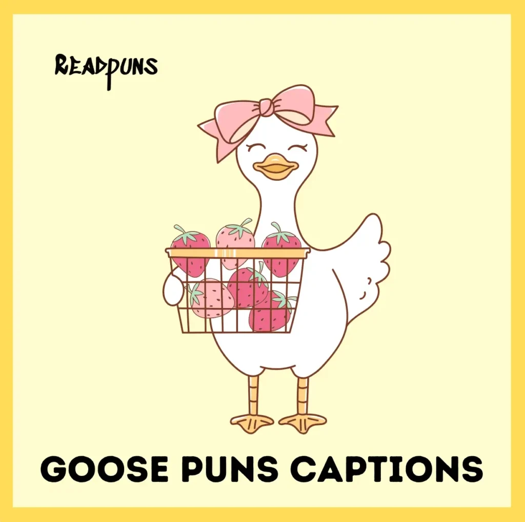 Goose Puns Captions
