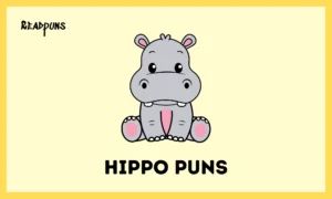 Hippo Puns
