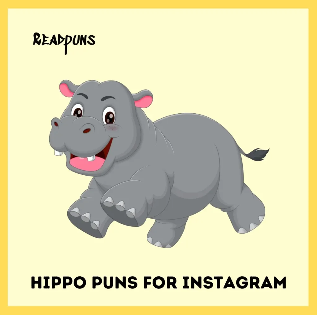 Hippo Puns For Instagram