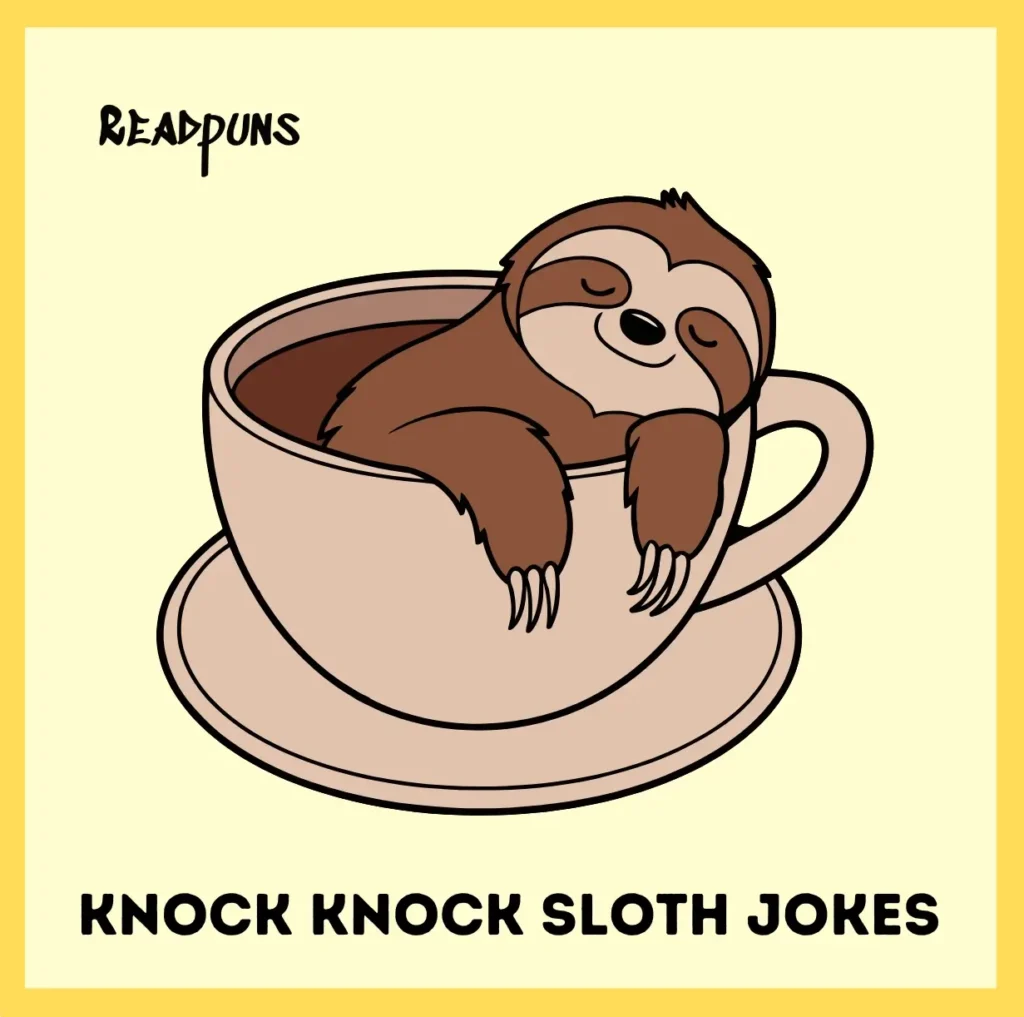 Knock Knock Sloth Jokes