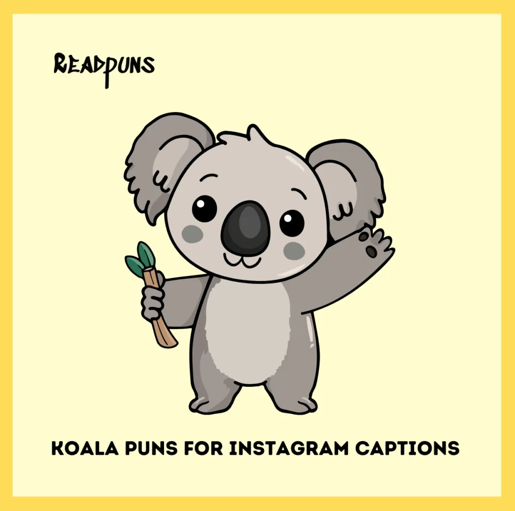 Koala Puns for Instagram Captions