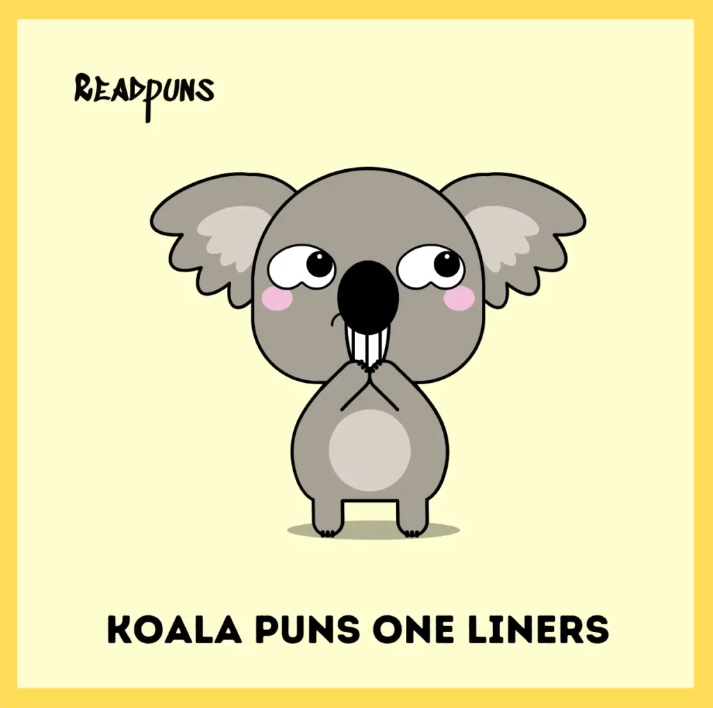 Koala Puns One Liners