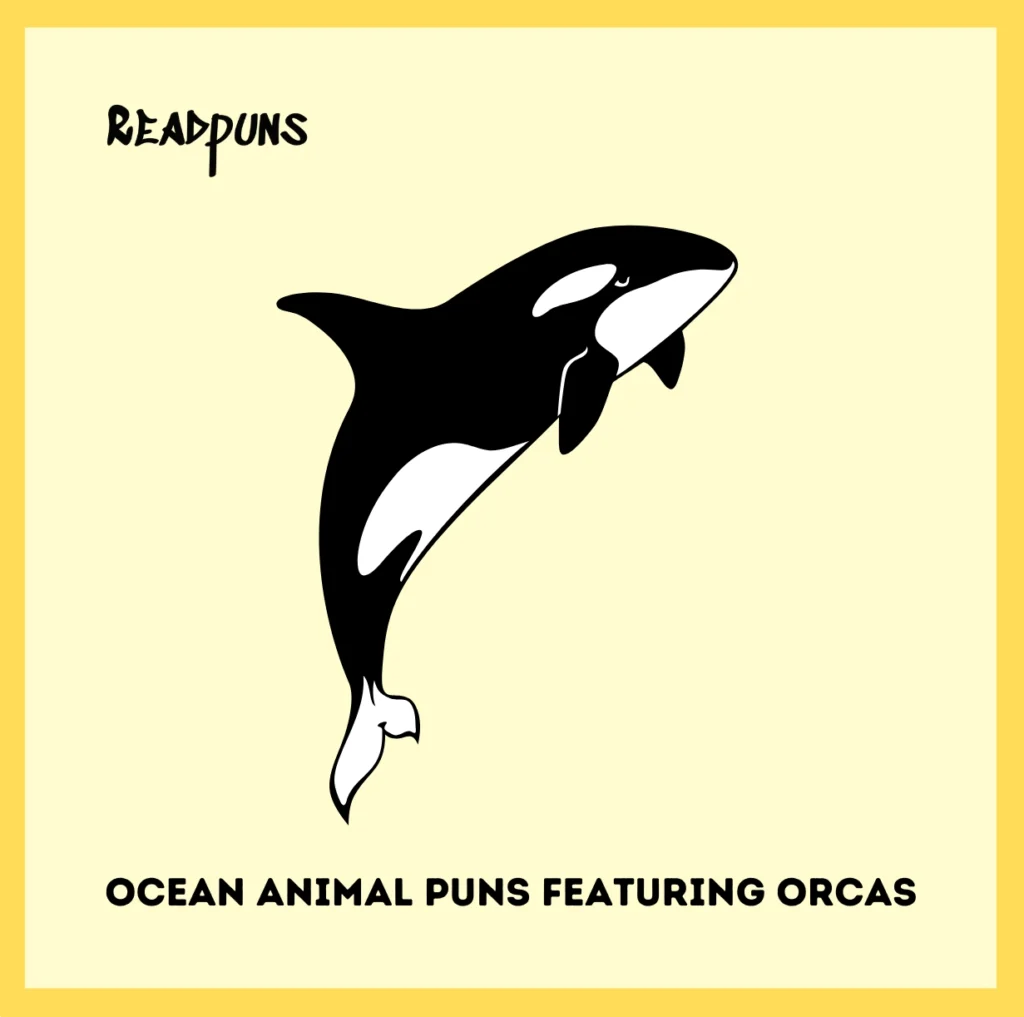 Ocean Animal Puns Featuring Orcas