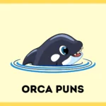 Orca Puns