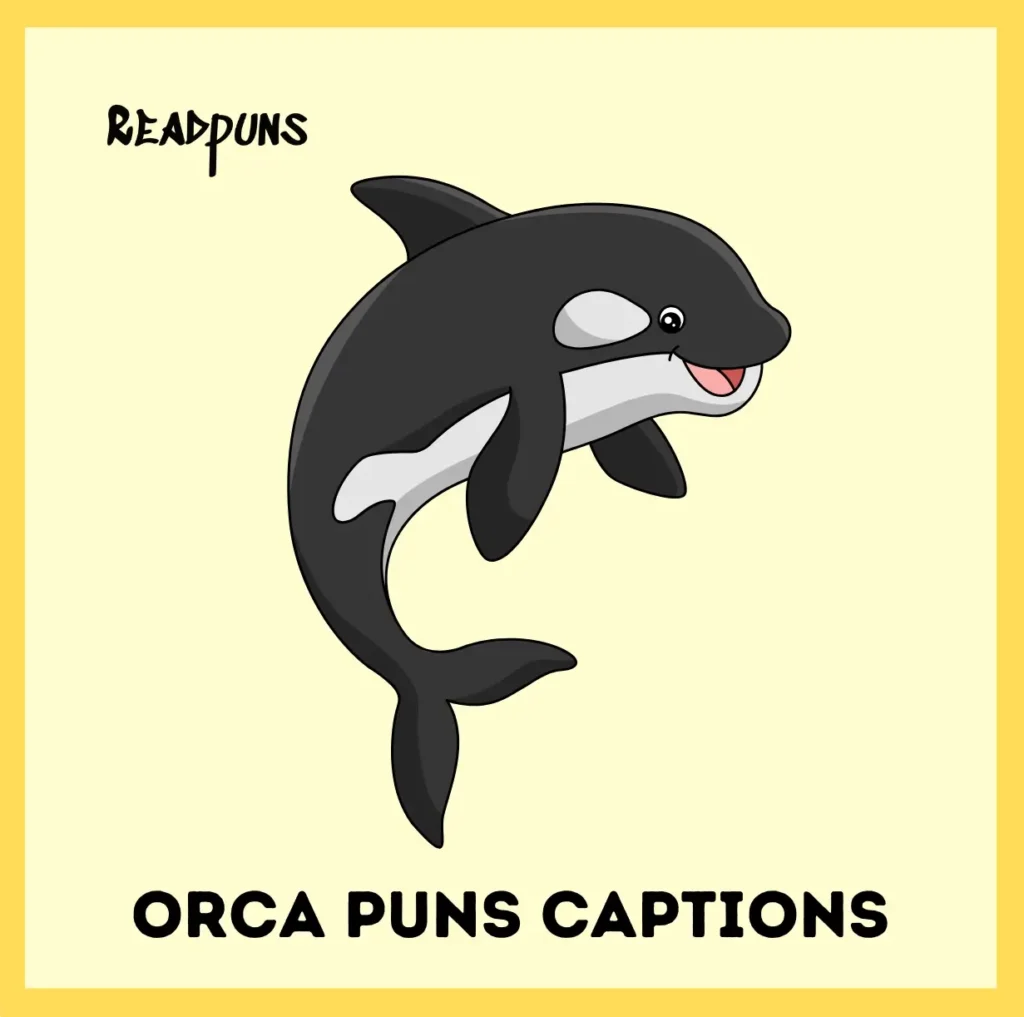 Orca Puns Captions