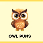 Owl Puns
