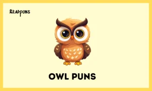 Owl Puns