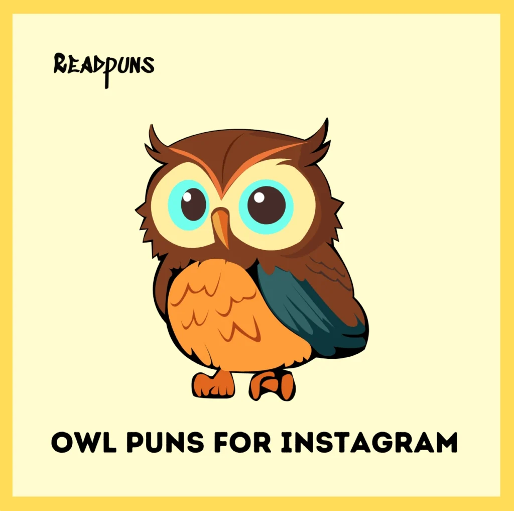 Owl Puns for Instagram