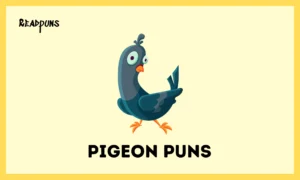 Pigeon Puns