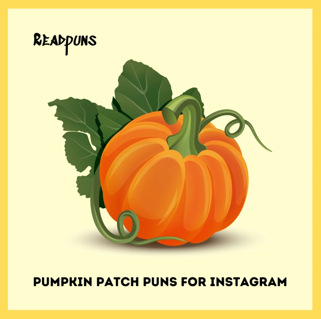 Pumpkin Patch Puns for Instagram