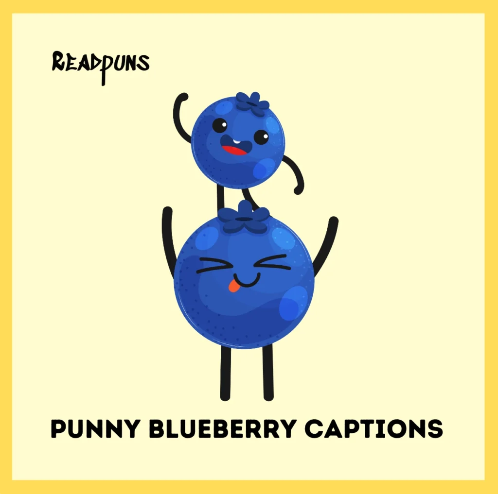 Punny Blueberry Captions