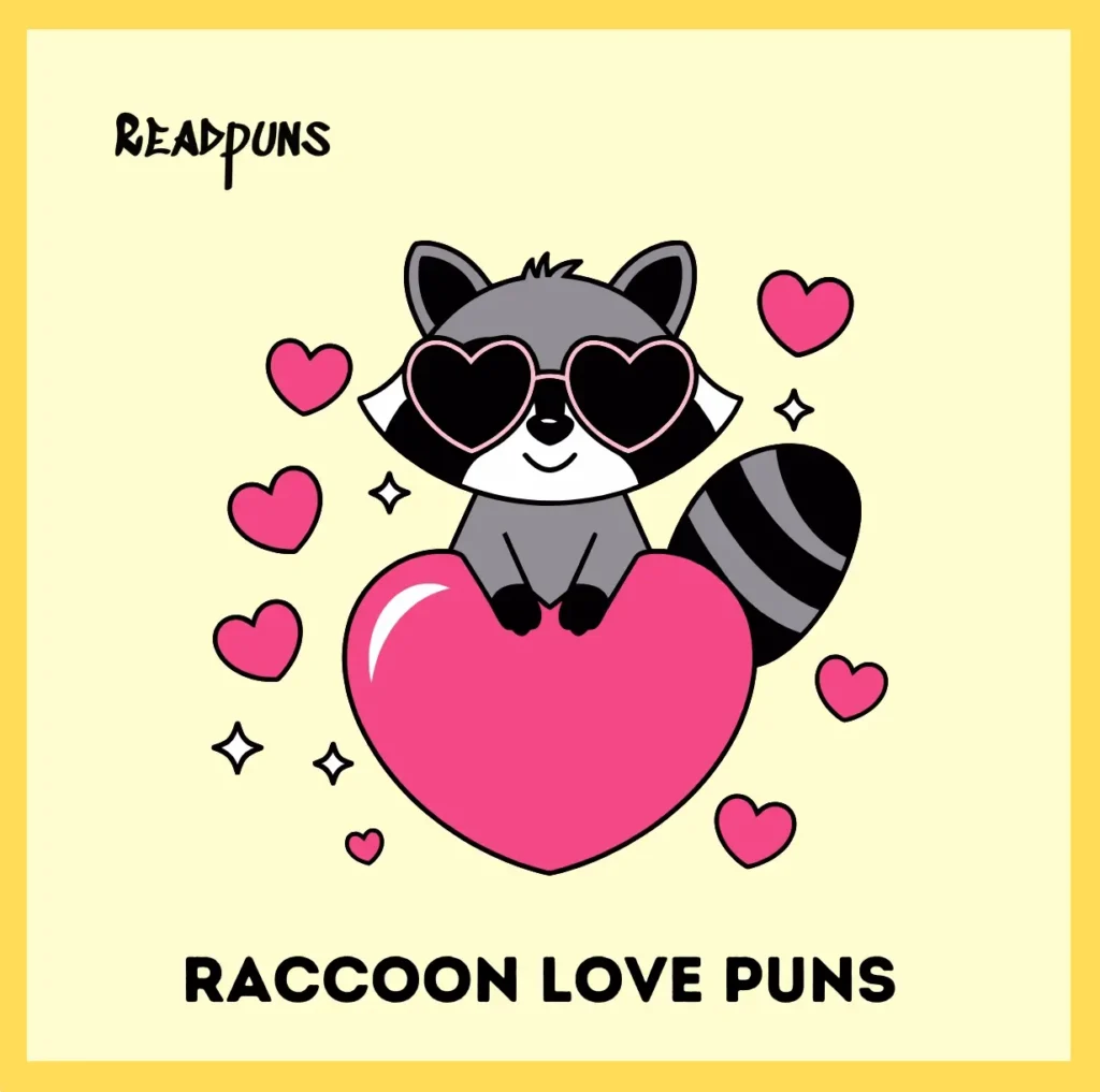 Raccoon Love Puns