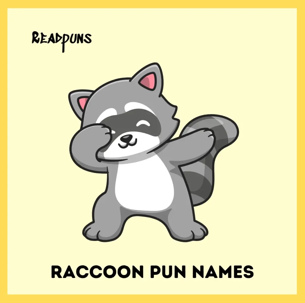 Raccoon Pun Names