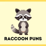 Raccoon Puns
