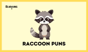 Raccoon Puns