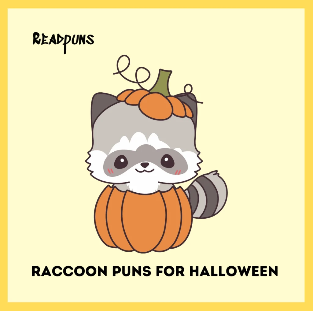 Raccoon Puns for Halloween