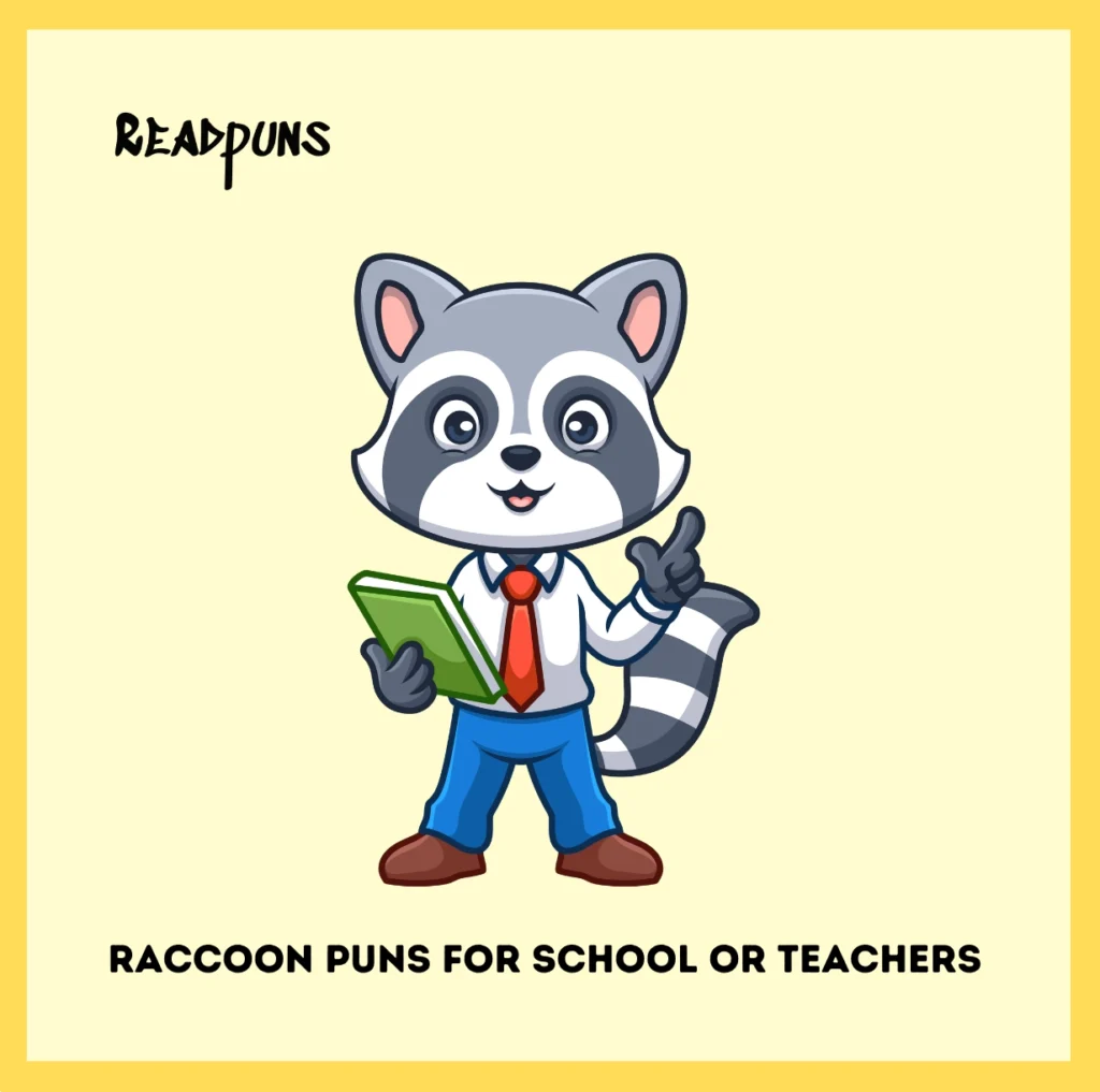 Raccoon Puns for School or Teachers