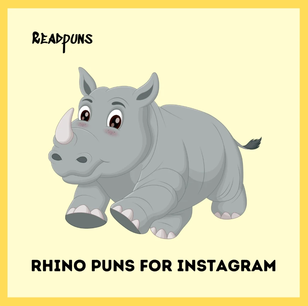Rhino Puns For Instagram