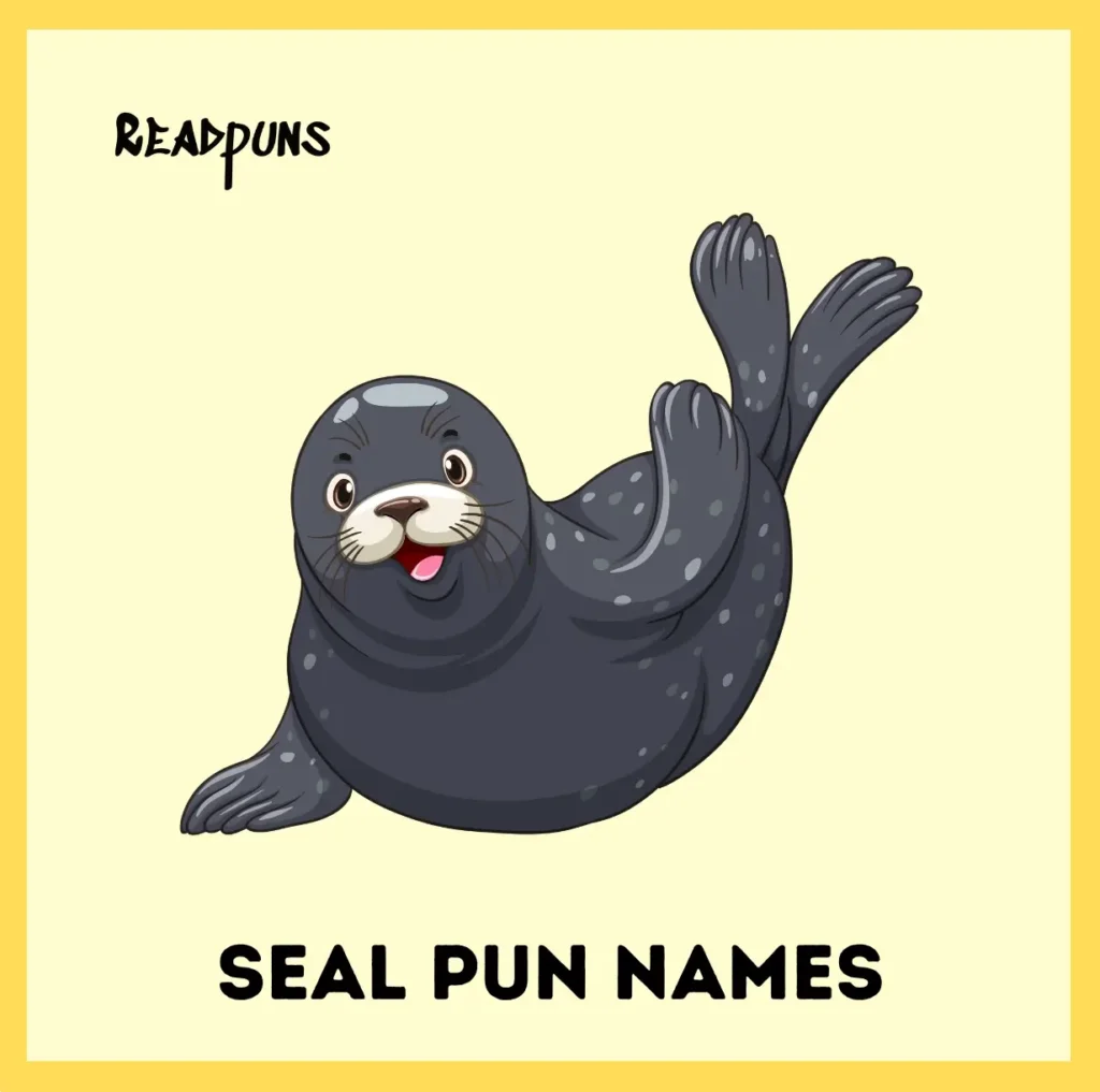 Seal Pun Names