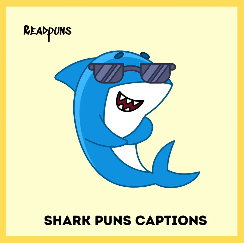 Shark Puns Captions