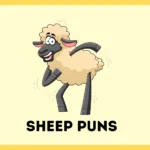 Sheep Puns