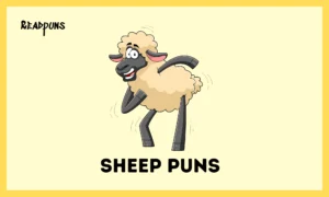 Sheep Puns