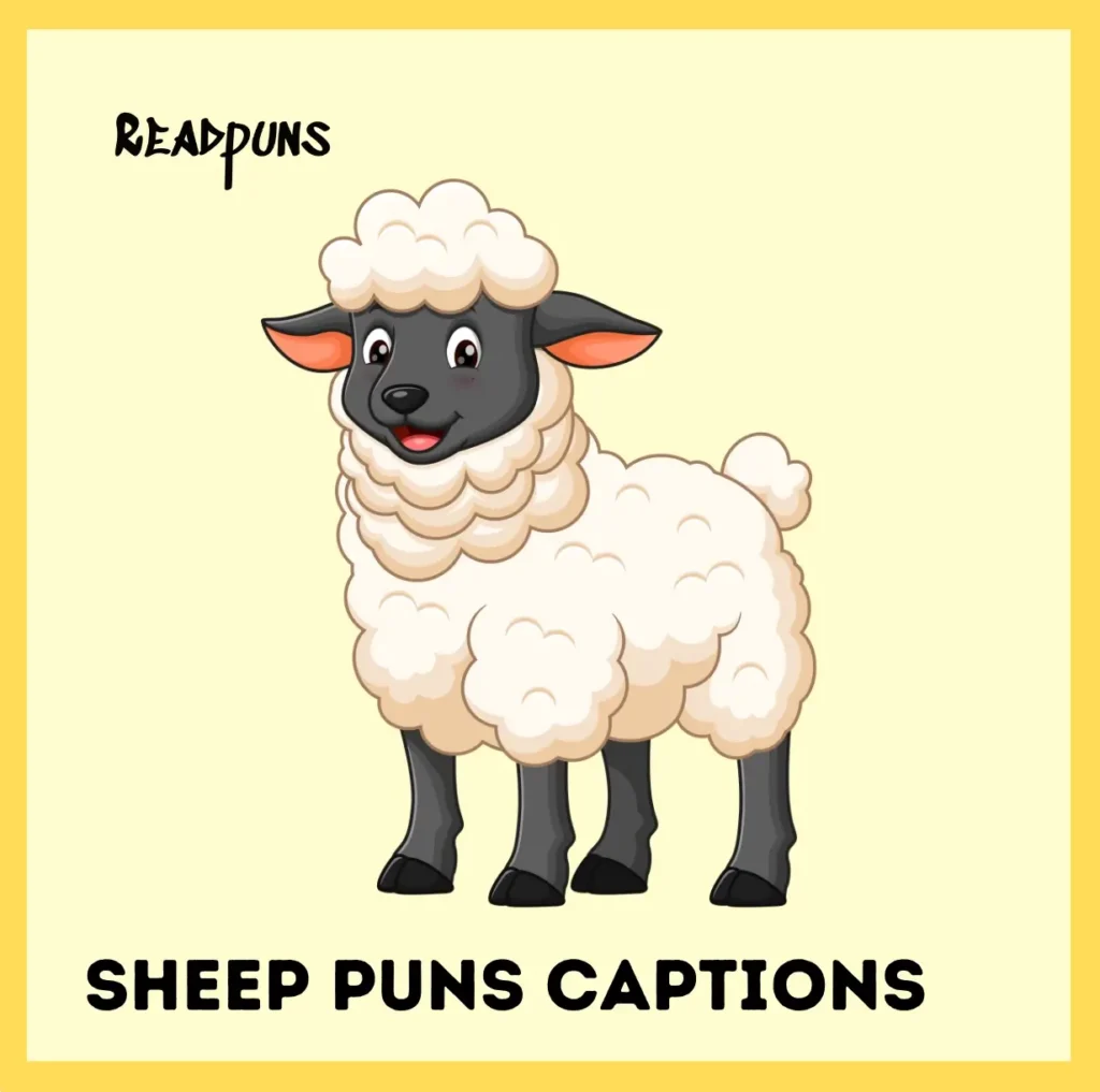 Sheep Puns Captions