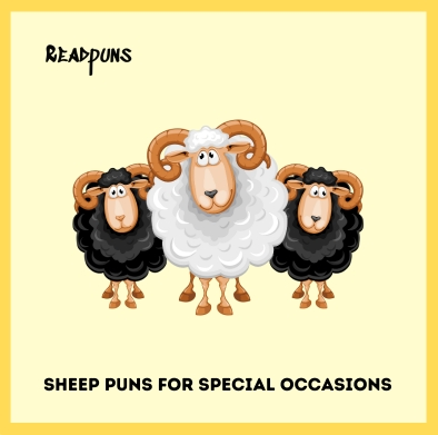 Sheep Puns for Special Occasions