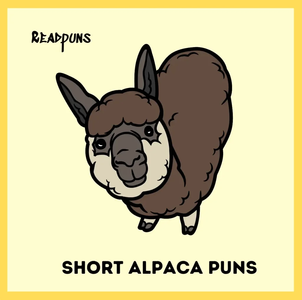 Short Alpaca Puns