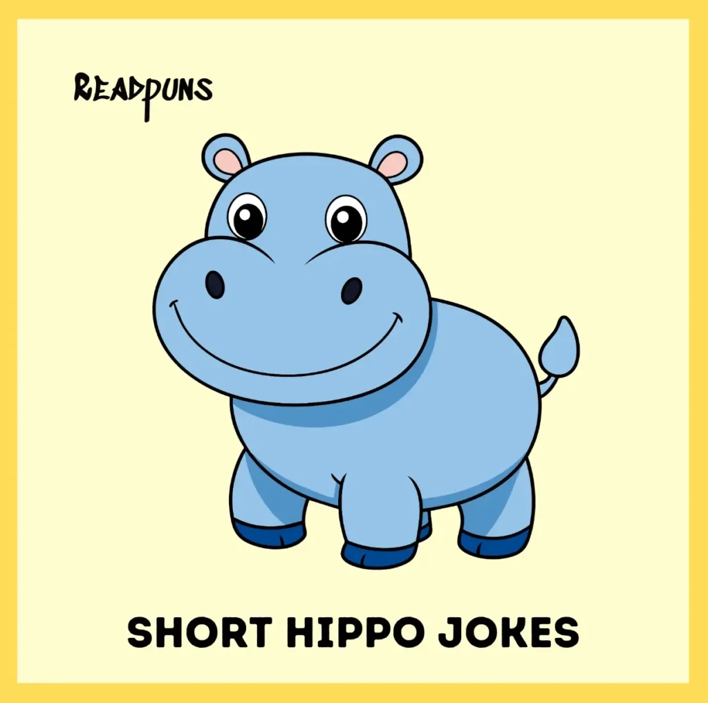 Short Hippo Jokes