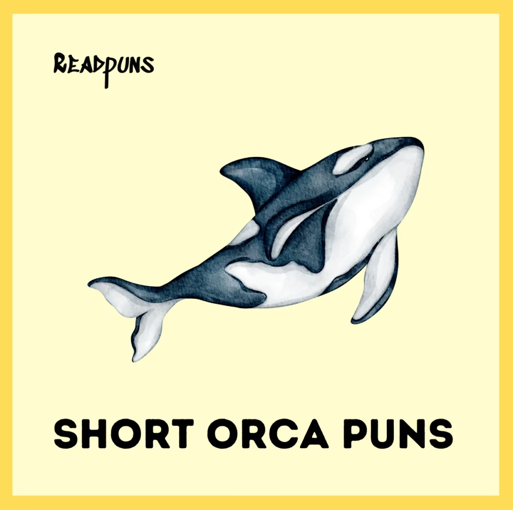 Short Orca Puns