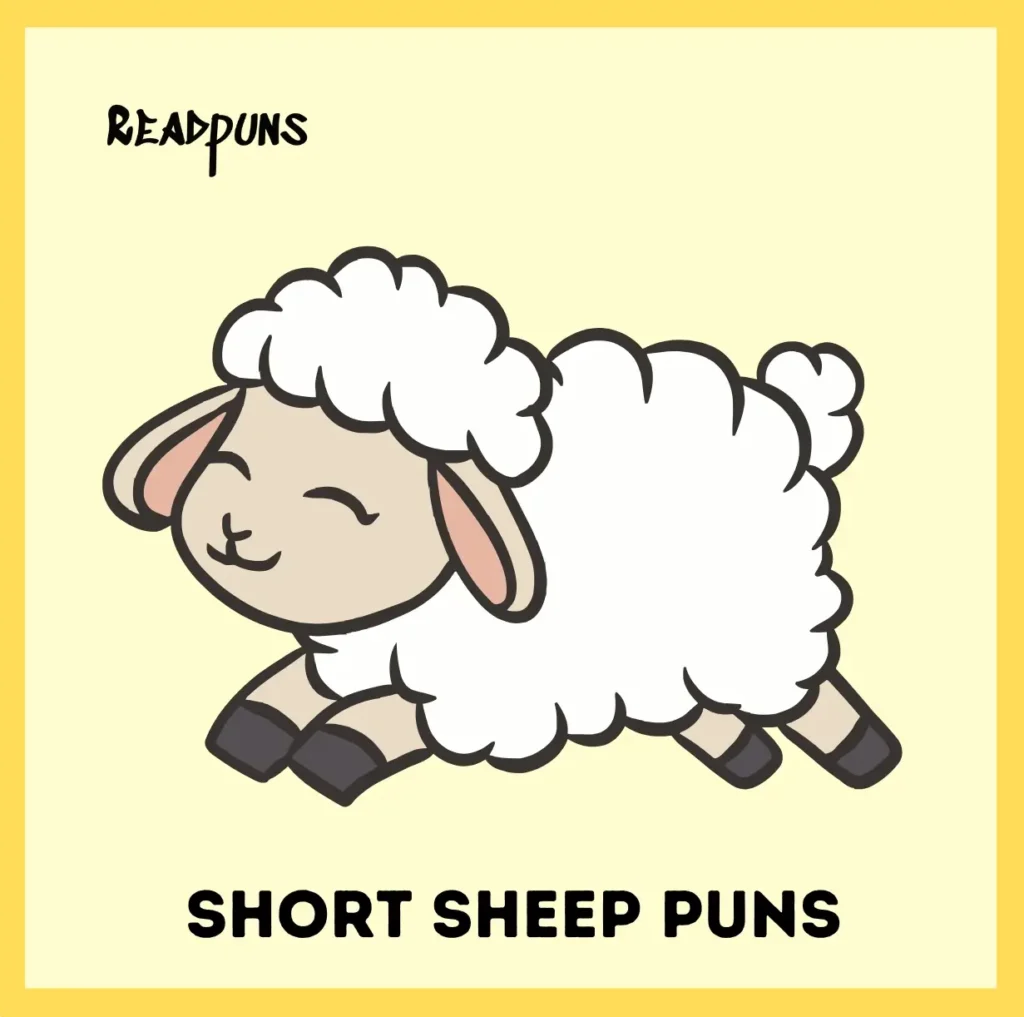 Short Sheep Puns 