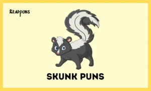 Skunk Puns