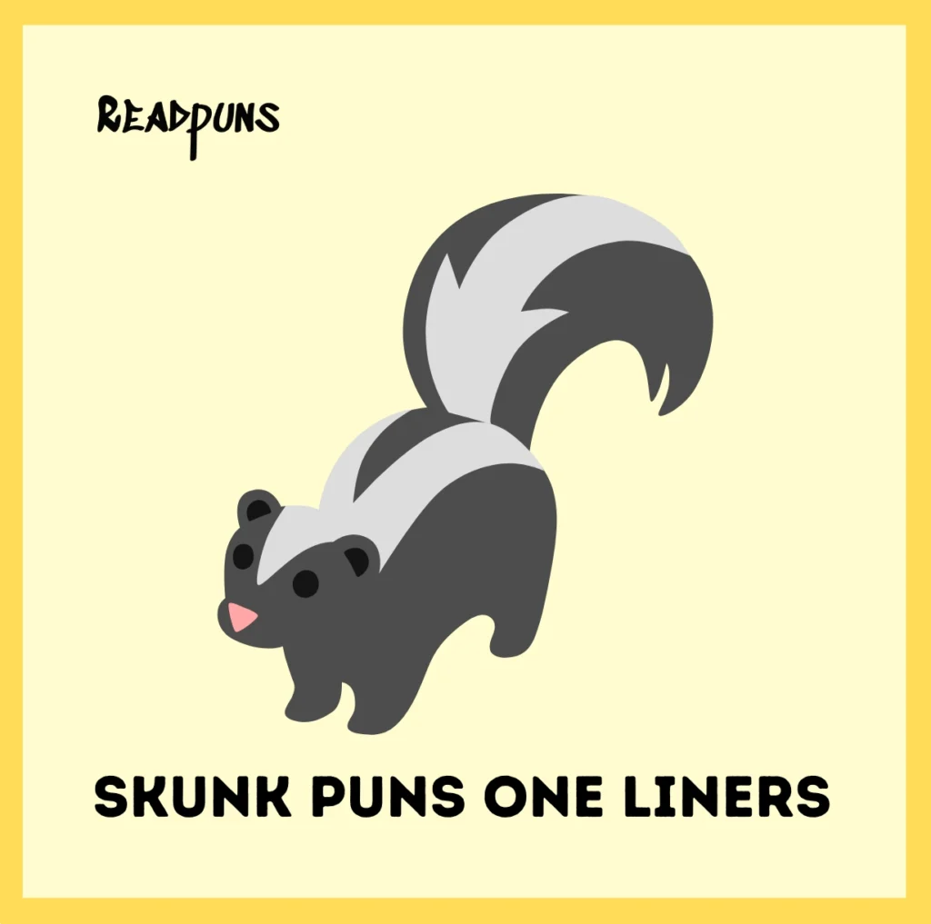 Skunk Puns One Liners