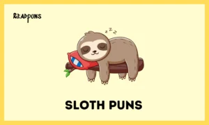Sloth Puns
