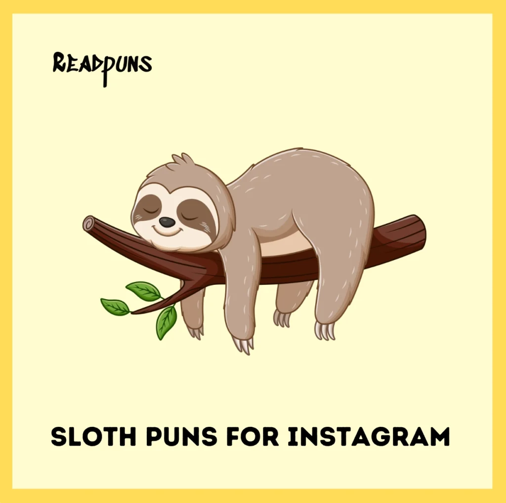 Sloth Puns for Instagram