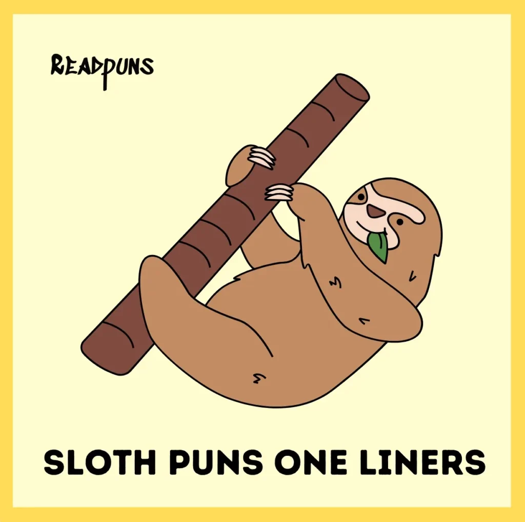Sloth Puns One Liners