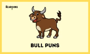 Bull Puns