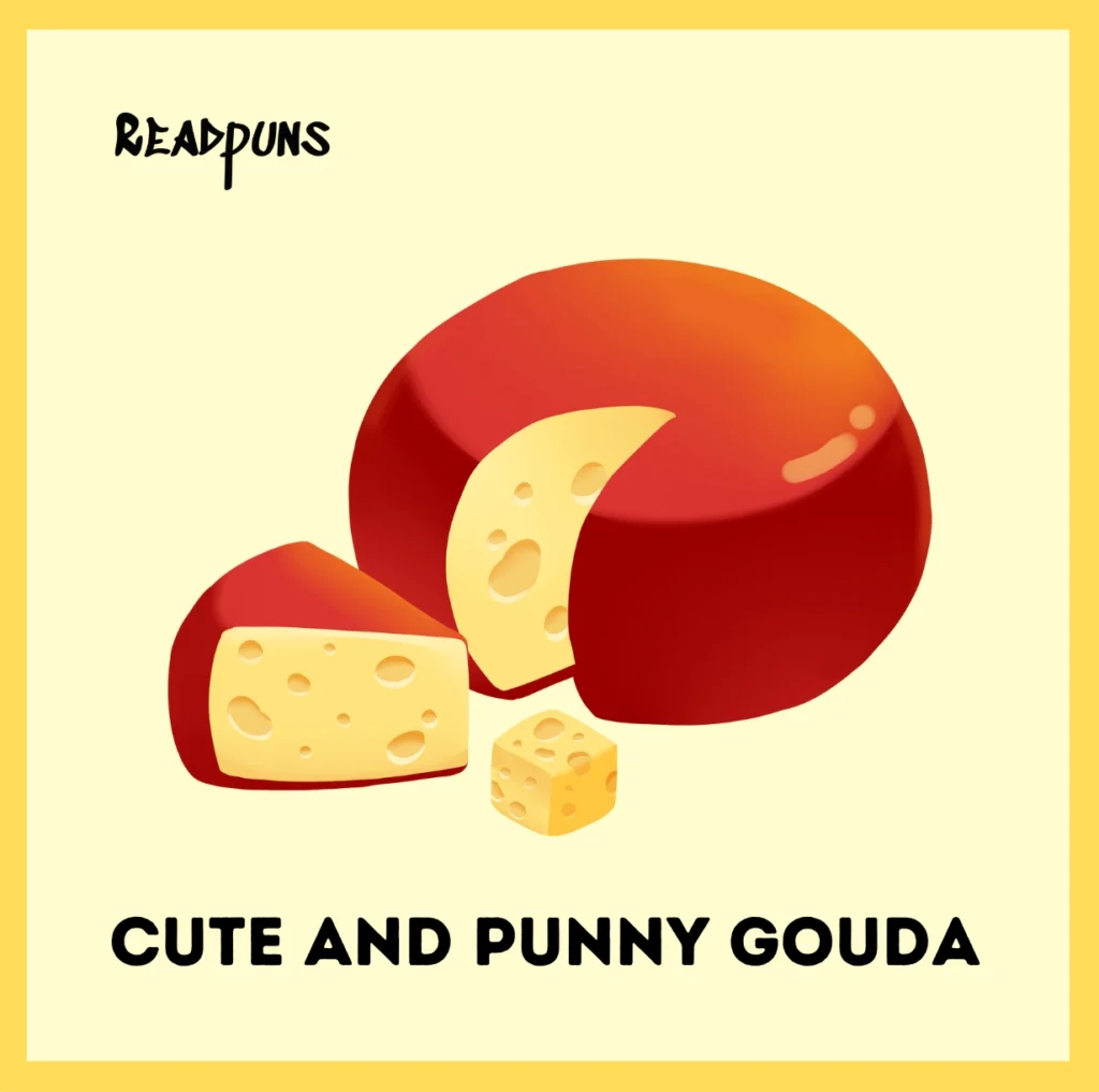 Cute and Punny Gouda