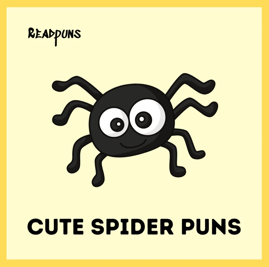 Cute Spider Puns
