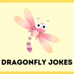Dragonfly Jokes