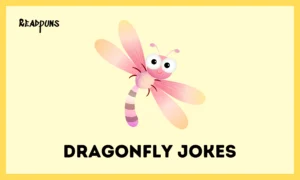 Dragonfly Jokes