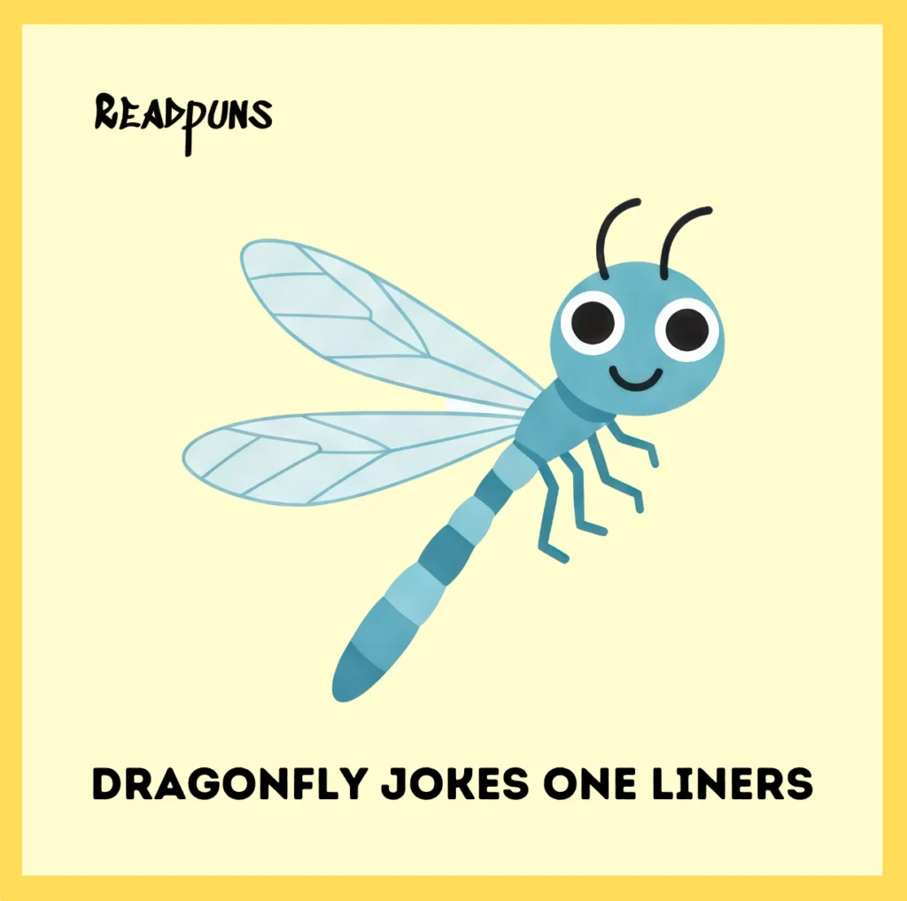 Dragonfly Jokes One Liners