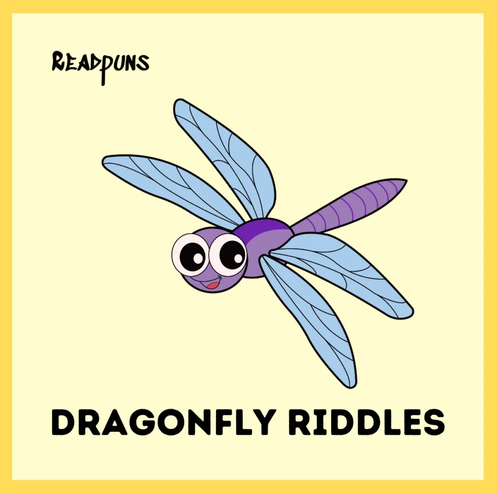 Dragonfly Riddles