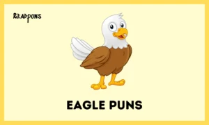 Eagle Puns