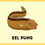 Eel puns