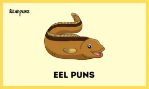 Eel puns